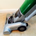 vacuum carpets to help get rid of the flea life cycle