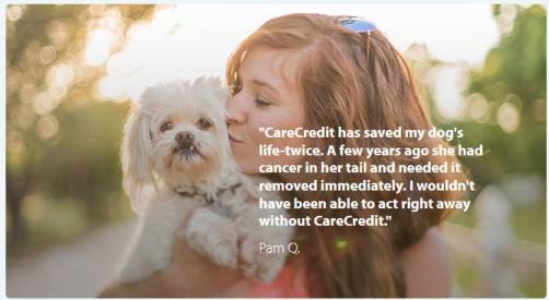 carecredit for dogs