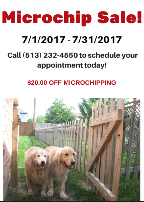 microchip-sale